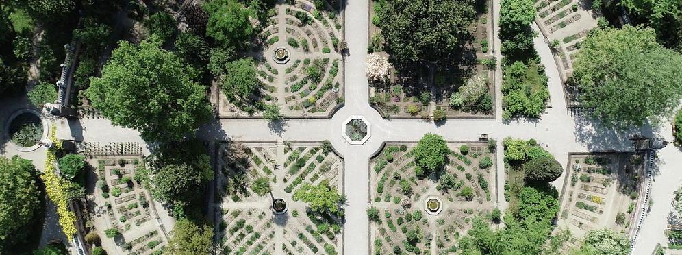 University botanical garden padua