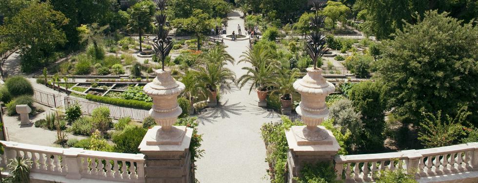 Padua botanical garden university veneto