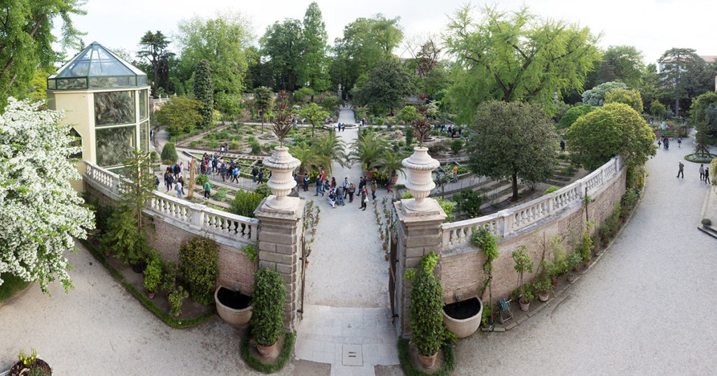 botanical garden padua