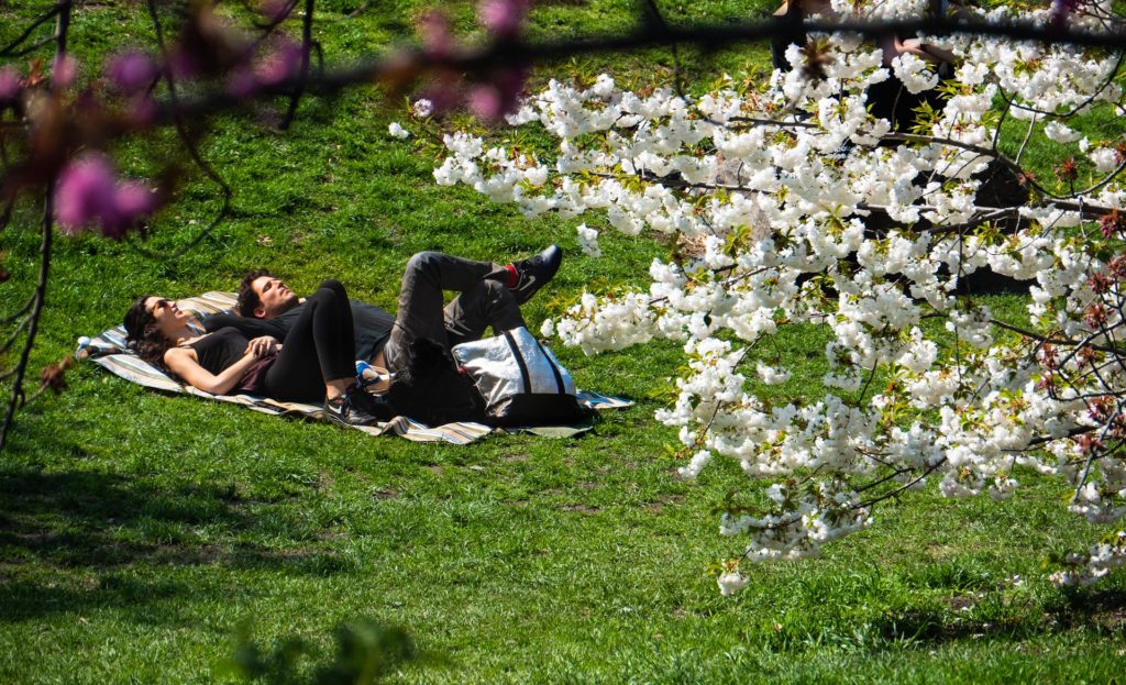 enjoying the sun in a park