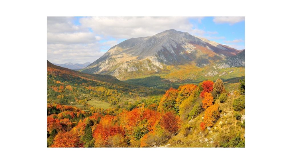 Parco Nazionale d'Abruzzo