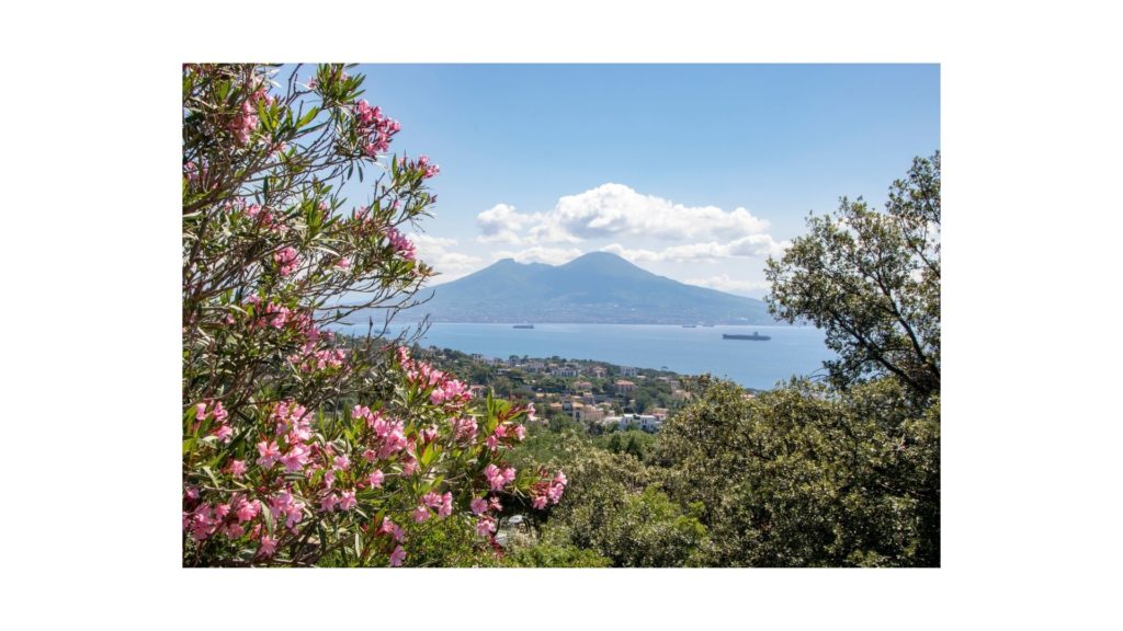 Vesuvius National Park, Vesuvio
